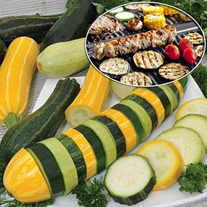 WILLVINE KGF -127 Zucchini and Squash Mix Seeds-200 Seed