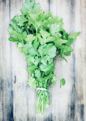Avysa Cilantro/Coriander Herbs Seed