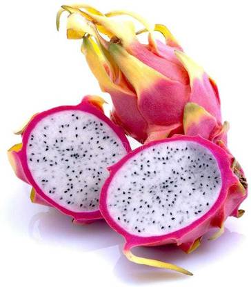 Oliver hybrid dragon fruit seed Seed
