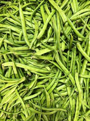 Oliver CLUSTER BEANS SEEDS Seed