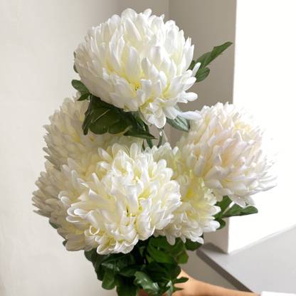 Mozette Exotic chrysanthemum white Seed