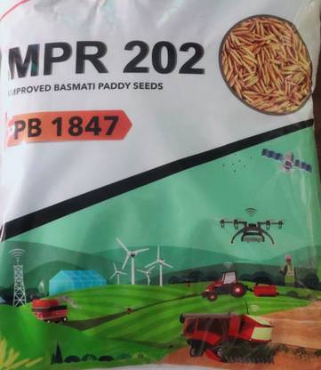 jenric dhaan seeds 5kg, basmati dhaan seeds, organic basmati dhaan seeds, Basmati paddy seeds Seed