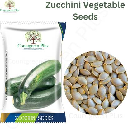 Countgreen Plus Zucchini - Summer Squash Vegetable Seeds Seed