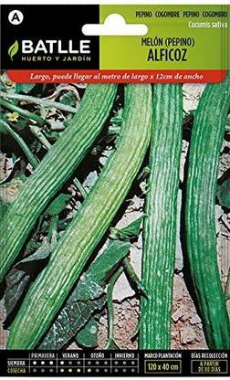 CYBEXIS Cucumber Alficoz - Snake Watermelon500 Seeds Seed