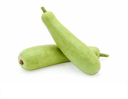UGRA Bottle Gourd (Long Melon/Kaddu) Seed