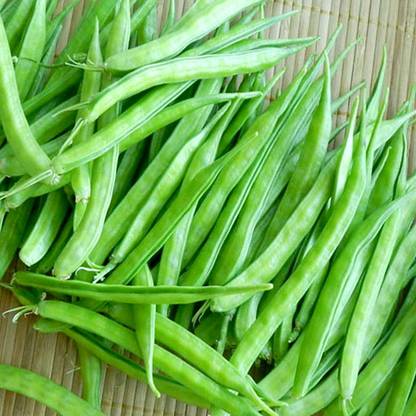 CEZIUS Cluster Bean (Cyamopsis Tetragonalobus) Indian Cluster Bean (Guar Bean) Seed
