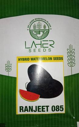 LAHERSEEDS RANJEET 085 F1 HYBRID WATERMELON SEEDS Seed