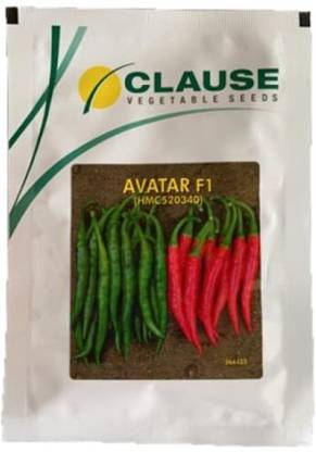 WILLVINE AMR -XIII Avatar F1 Hybrid Chilli Seeds[5gm, 1000 Seeds] Seed