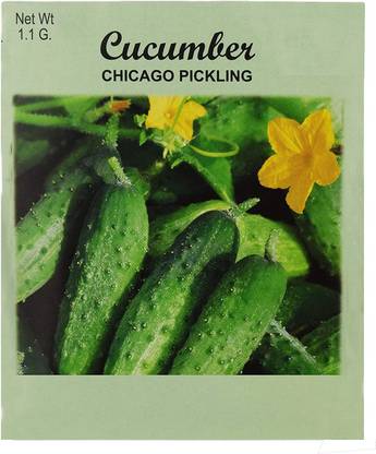 VibeX ® VLR-658 Cucumber Chicago Pickling Seed Seed