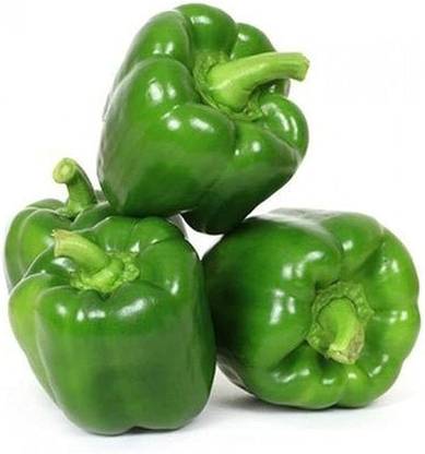 BDSresolve capsicum seeds for home garden/capsicum seeds 80 Seed