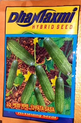 DHANALAXMI Cucumber Seeds/Kakudi Seeds Seed