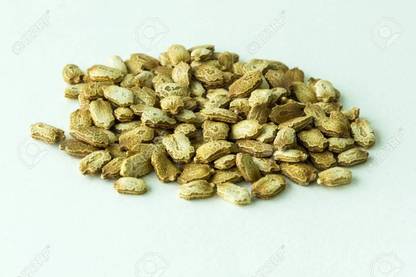 PMA Bitterguard Seed, Organic Vegetable Seed, Korola Hybird, Karola Seed