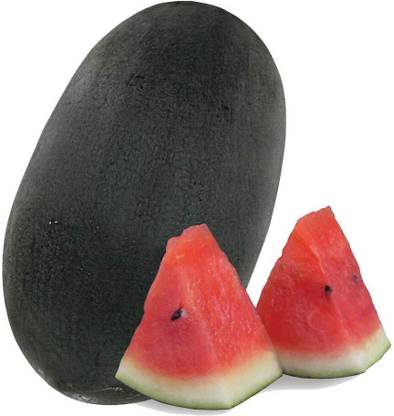 KNESSiN Watermelon Red Flesh - Watermelon - Round Black[100 Seeds] Seed