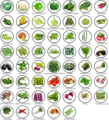 FLARE SEEDS 52 Variety of Vegetable Seeds Gardening Combo Seed