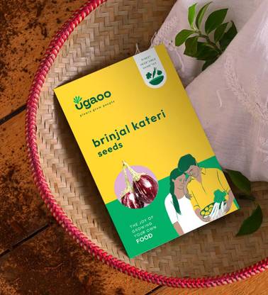 UGAOO Brinjal Kateri Vegetable Seed