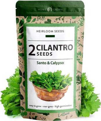 VibeX ® VXI-139 2 Types of Cilantro Seeds Seed