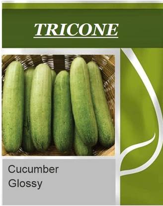 TRICONE Hybrid Glossy Cucumber Kheera Syngenta 50 GRM SEEDS Seeds Seed