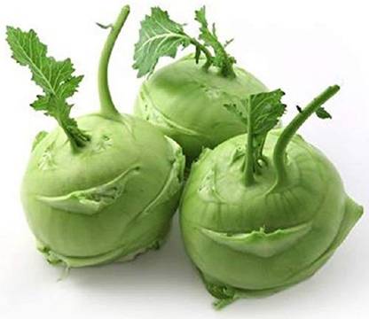 Lorvox (Knol Khol) Vegetables Seed