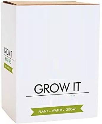 Quinergys Jaamun - Do-It-Yourself Easy & Simple Gardening Kits Seed