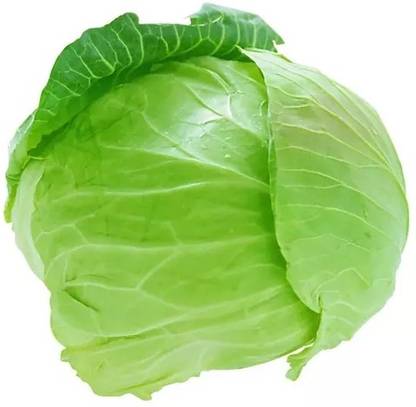 nesto Cabbage Vegetable Seeds Seed
