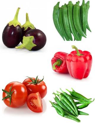 SeedsSunrise Pack of 5 Vegetables Seeds - Brinjal, Lady Finger, Capsicum, Tomato, Chilli Seed