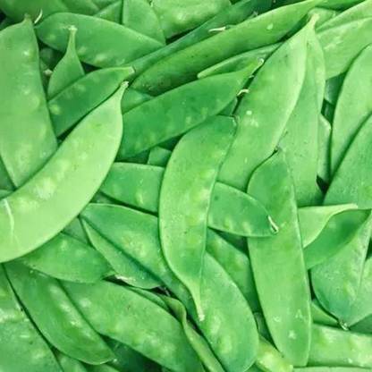 PMA Runner Beans Seed, RB - 1300, Organic Gardening Seed, Seem, Hybird Seed