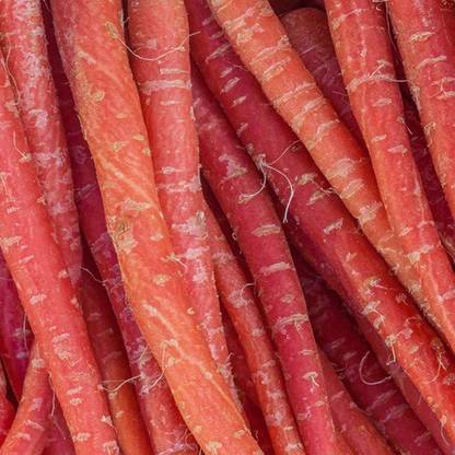 Avysa Carrot - Nutri-Red Seed