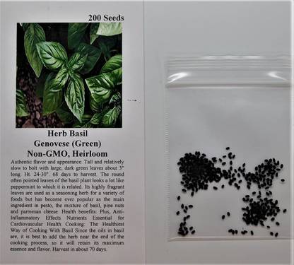 WILLVINE PAU-55 Sweet Basil Genovese Ocimum Basilicum Seed