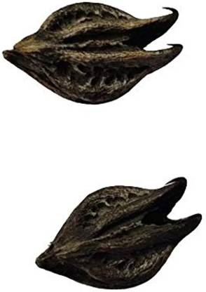 CHILLATAI Bat Head Roots Seeds / Devil Pods Seed