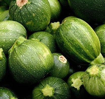 VibeX ® LXI-122 Round Zucchini Summer Squash Seeds Seed