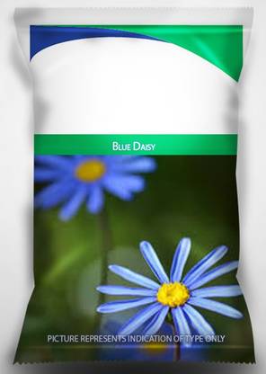 VibeX LX-30 - Blue Daisy For Home Garden - (540 Seeds) Seed