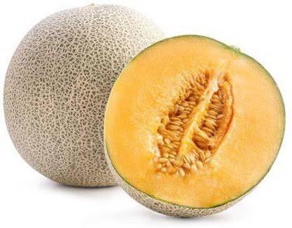 VibeX LXI-39 - Lyallpur F1 Hybrid Muskmelon - (150 Seeds) Seed