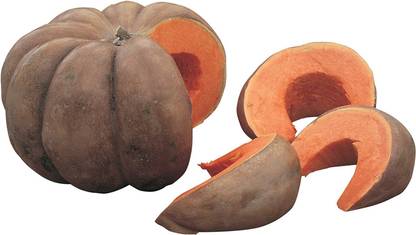 VibeX ® XLR-362 Musquee de Provence Pumpkin Seeds Seed