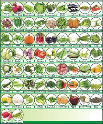 Morbih 65 Varieties of Vegetables and Fruit Seeds Combo Pack Seed