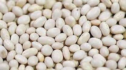 ANDARISTORE Soybean Seeds | (SOYA Bean) | Soyabeen Dal 750gm Seed