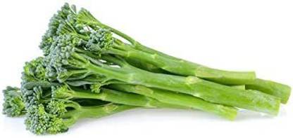 VibeX ® XXL-465 Spring Broccoli Rabe Seeds - Rapini Seed