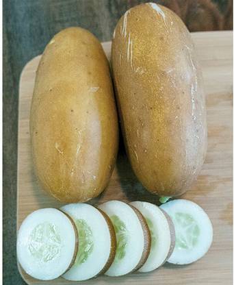 WHYGI Brown Russian Cucumber Seeds-CuC_896 Seed