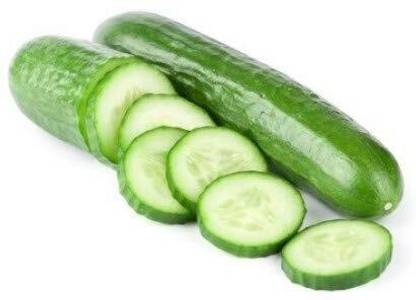 ActrovaX High Germination CUCUMBER [4000 Seeds] Seed