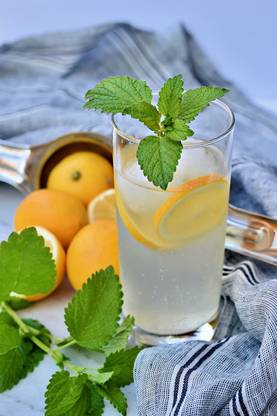 VibeX HUA-65 - Lemon Balm Herbs Seed