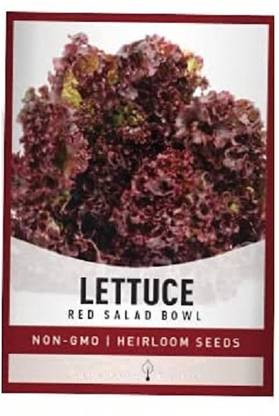 Qualtivate AXL-1AT Red Salad Bowl Lettuce Seed