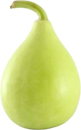 Cloud Farm ™ Quick germination Bottle Gourd Hybrid Seed Packet Seed