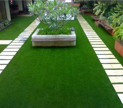BDSresolve korean grass seeds/korean lawn grass seeds Seed