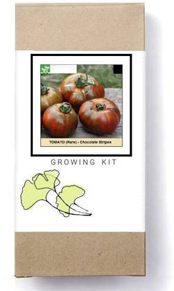 Biosnyg Rare Chocolate Stripes Tomato-[1000 Seeds] Seed