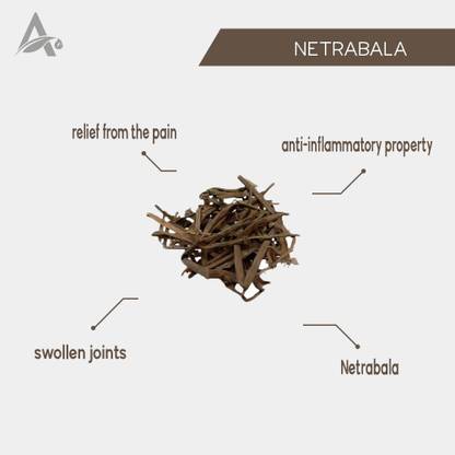 Desi Jadi Buti Netrabala – Netra Bala – Balaka – Hrivera – Pavonia Odorata Seed