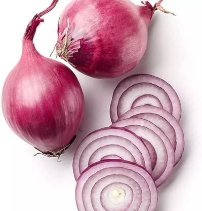 WATIKA Good Quality Round Red Onion Seed
