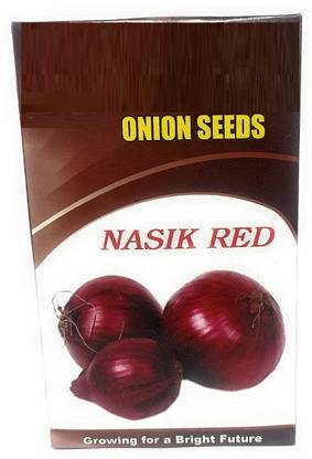 WILLVINE SYN -VIII Fursungi Pune Onion Seeds [2.5g] Seed