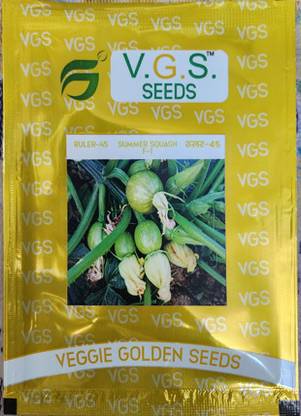 Setia SUMMER SQUASH Seed