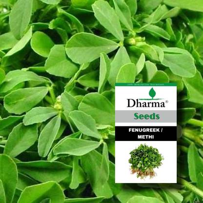 Dharma Methi Saag,Fenugreek Seeds Seed
