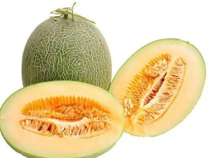 PLUSGREEN Sweet Hami Melon Muskmelon/Cantaloupe Seed