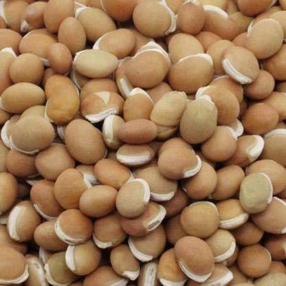 ANDARISTORE Mochai Kottai Fava Bean (250g) Seed